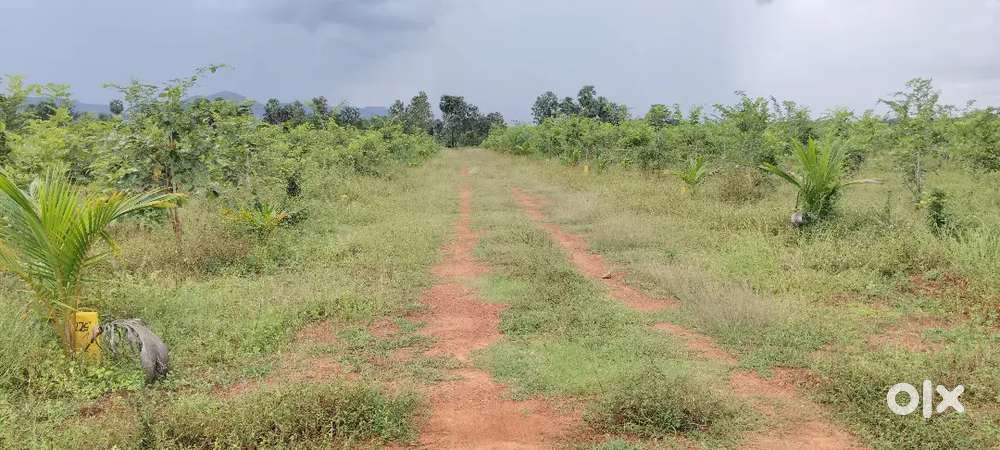 ANAKAPALLE  - R. Bhimavaram