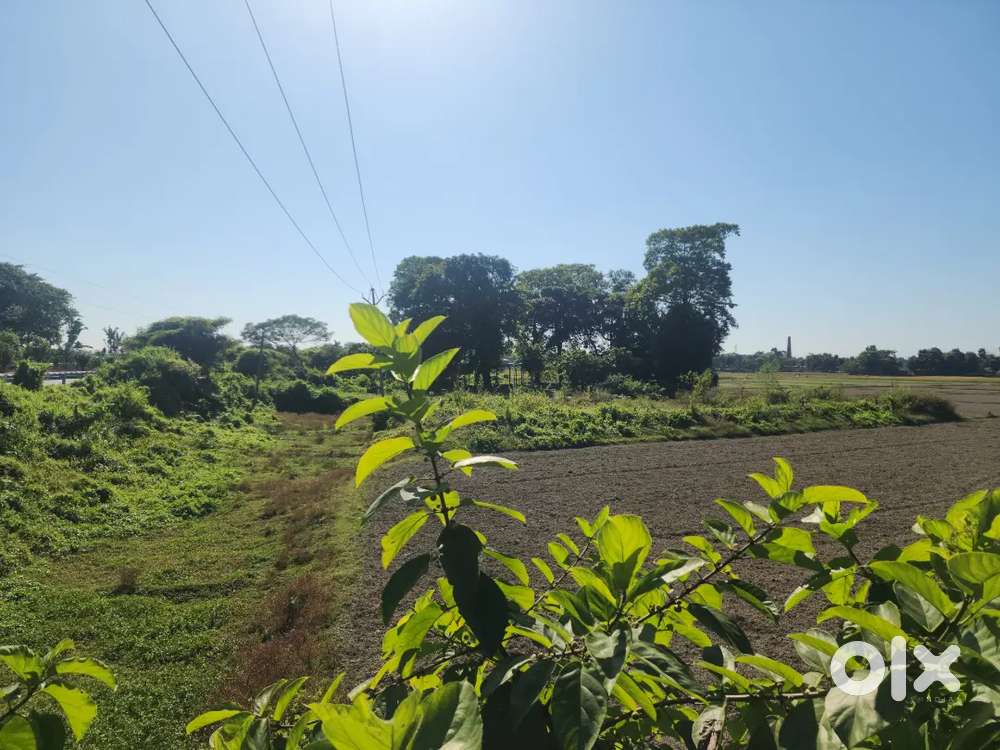 Near NH 27 highway, Pathsala