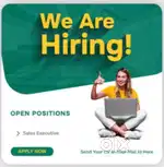 Sales and Marketing executive ( Male / Female)