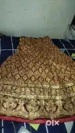 Briidal lenga