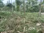 Road side Land for sale near by Alpine university kamrang