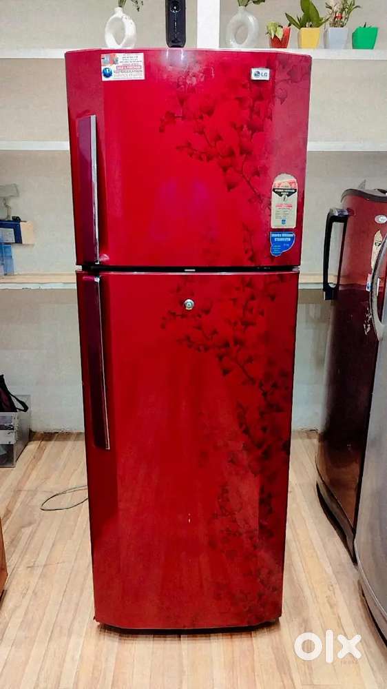 LG 253 L 2Star Frost-Free Double Door Refrigerator Free Delivery Stand