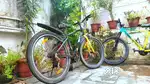 Hercules new brand bicycle 6 gears