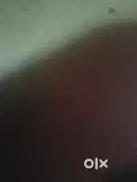 Kallambella