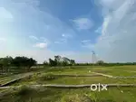 Premium plots and investment site available here !