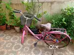Bsa Lady bird Girls Little Small Cycle. Very Neet & New Tyre & Tube.