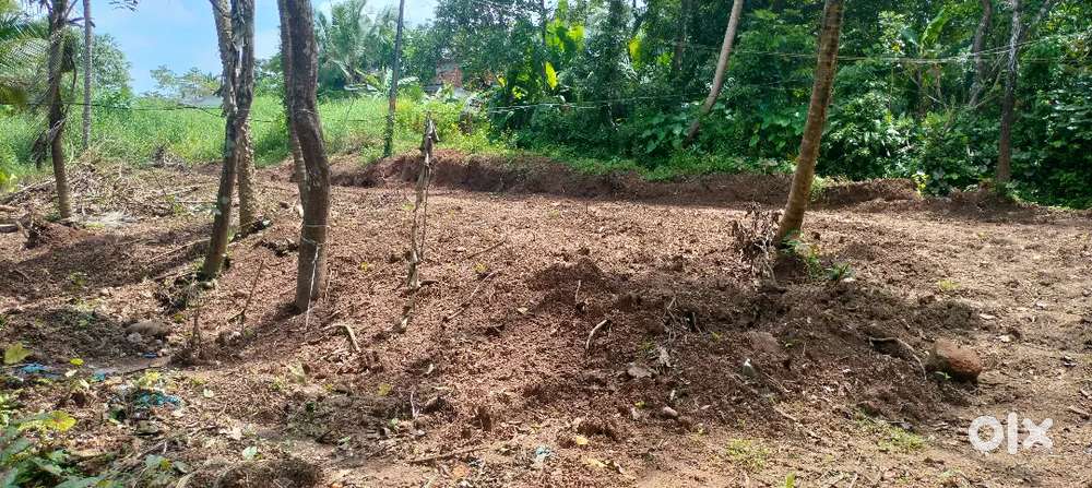 12 Cent Residential Plot for Sale in panunda