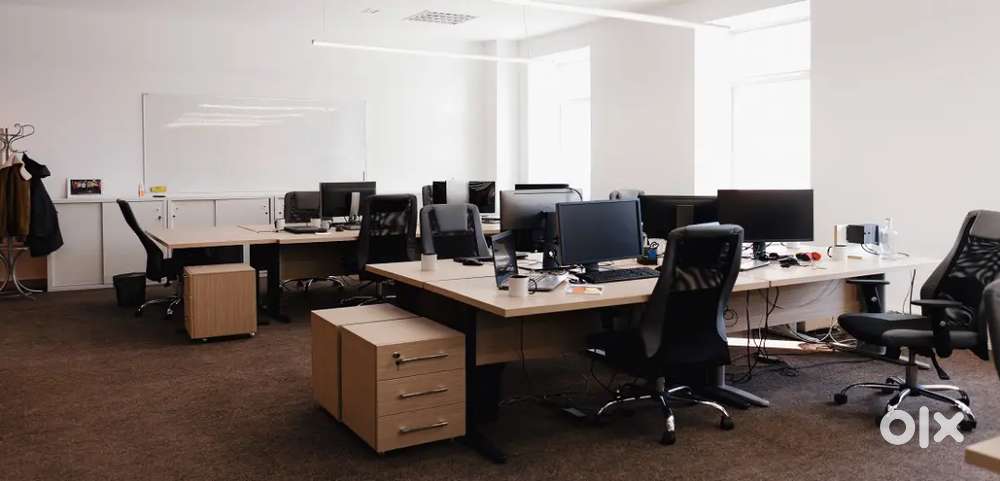 Looking for female personal assistant