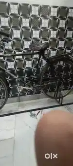 Atlas cycle