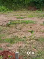 ശാന്ത സുന്ദരമായ 3 സെന്റ് പ്ലോട്ടുകൾ മുണ്ടത്തികോഡ് 89000