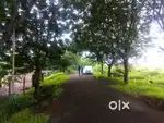 Urgent Sale of NA Plot in Murbad