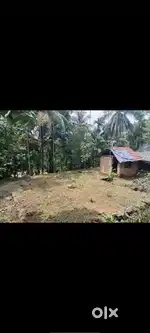 കുയ്യൊടിയിൽ ചമ്മിൽപുറായിൽ പറമ്പ് മഞമ്പ്ര ഇയ്യാട് via ബാലുശ്ശേരി