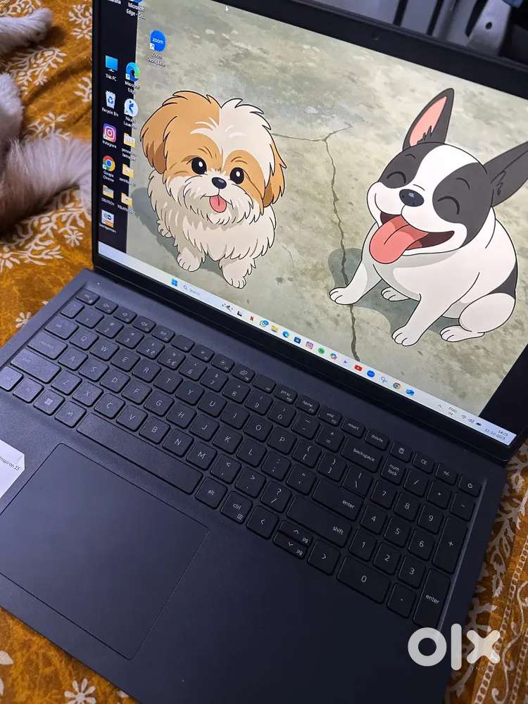 Dell inspiron 15