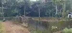 Palikkara payamthottam 7 cent plot for sale per cent 3.10 lakhs