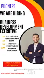 Business Development Executive