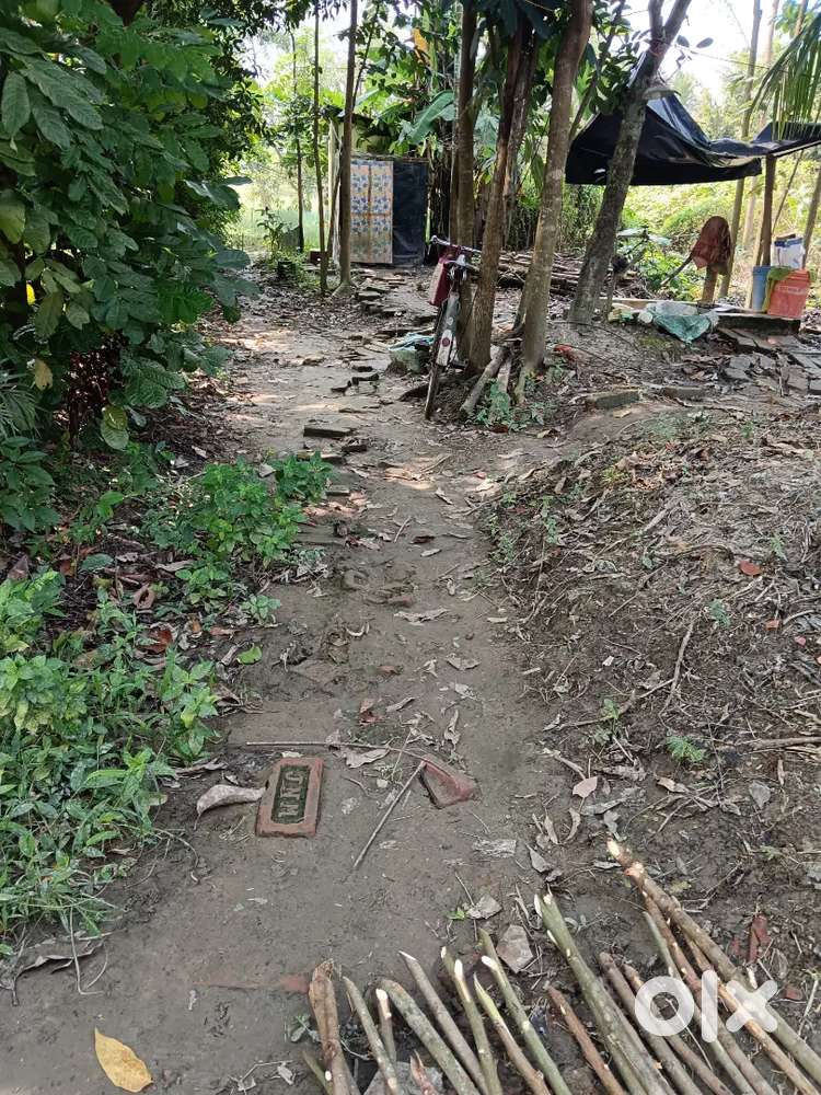 Want to sell 10 kata land as soon as possible due to financial reasons