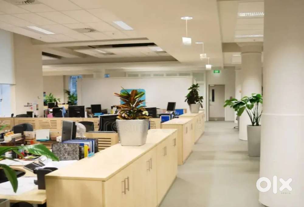 Accountant with Tally & Excel knowledge