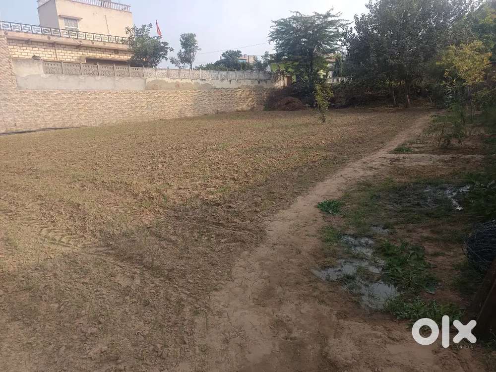 Bay gaon. Me plot hai