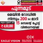 15 -cent residential plot for sale in Punnamoodu