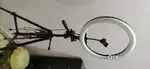 Tripod with Ring Light