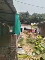 Sell poultry form near kakori station rady position