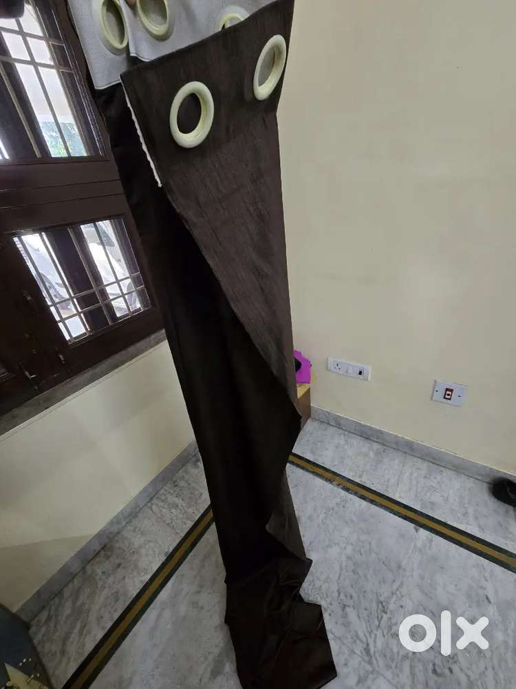 Curtains (Multi - Design)