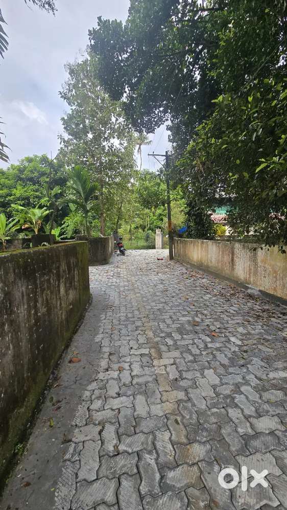 Land for Sale - Thannipuzha, Kalady