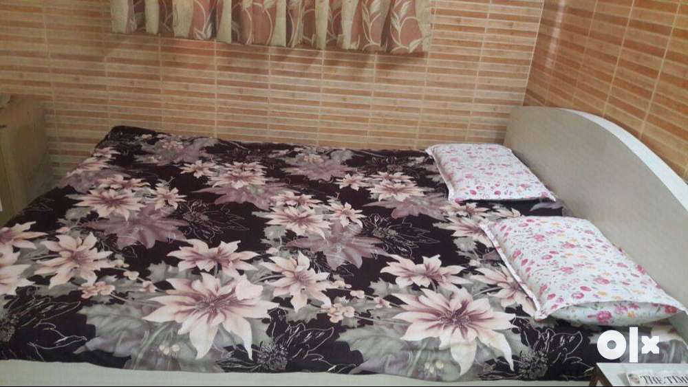 PG Furnished accommodation with A/C available only for working females