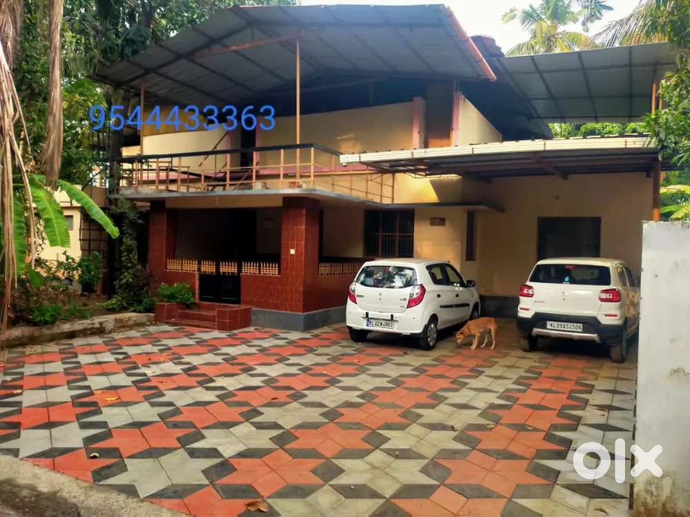 Fully furnished 3 bhk rent at olavakkod pudupariyaram