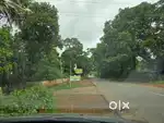 Next to NH 69