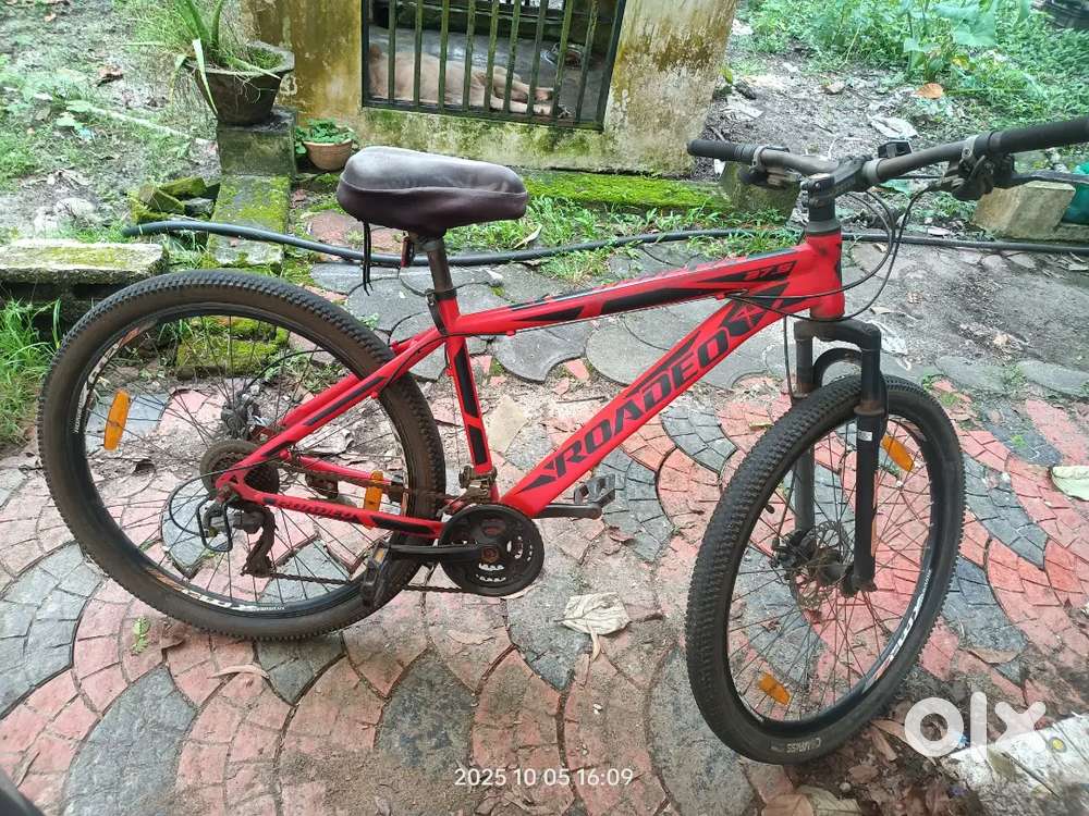 Cycle gear