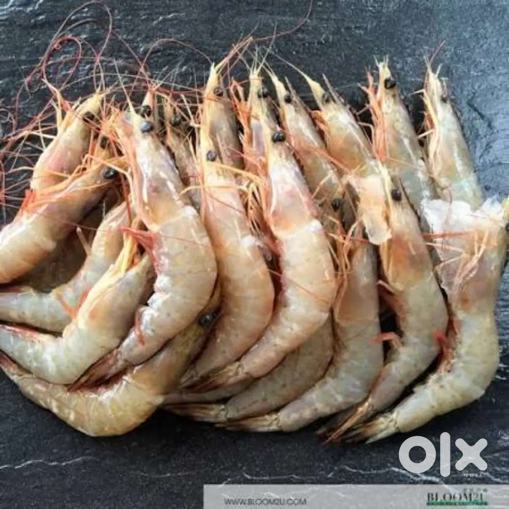 Fresh water prawns