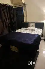 Queen size Bedframe