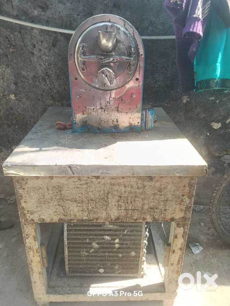 Ice cream and candy palnt