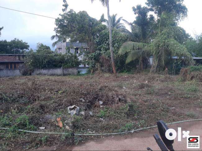 12 Cent house plot for sale in Nallepilly, Palakkad