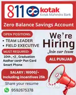 HIER SALES EXCUTIVE OR TEAM LEADER