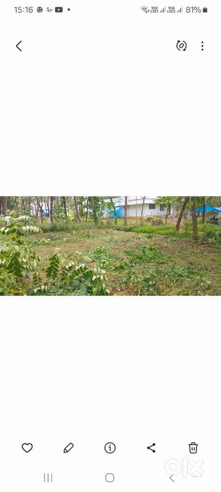 കോടാലി സെൻട്രൽ അടുത്ത് സെന്റിന് 1.25.സെന്റ് 20