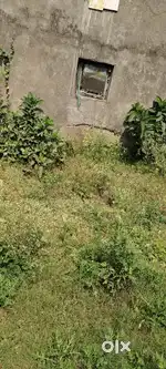 18000sqft, plot for sale in NH Facing in Pipili bypass