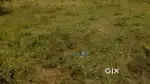 200 Sq. yards plot for sale in lankelapalem