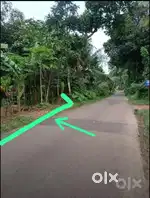 Land for sale at vandipetta(3km from chottanikara temple)