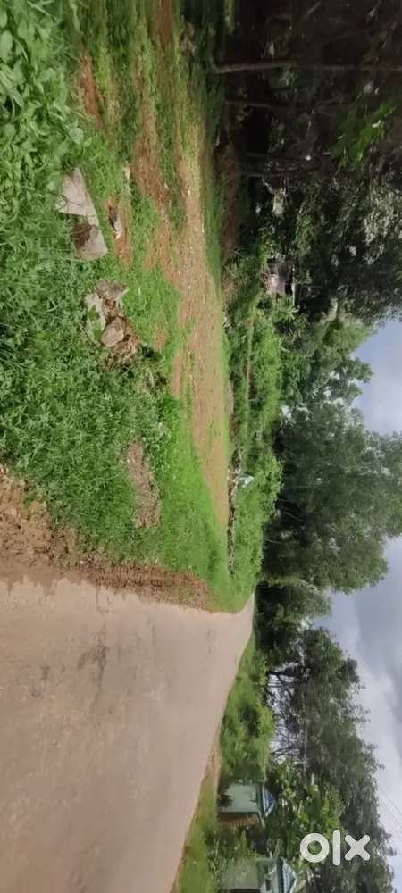 Dry land for sale in Thirumala