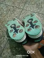Cricket Shoes