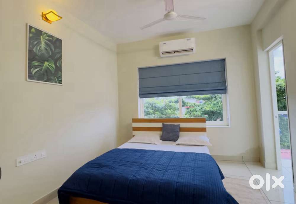 Flat & house for rent in calicut town