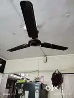 Oriant fan 2 years old not working