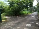 Plot for sale