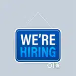 Junior Accountant