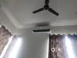 Napoleon ac