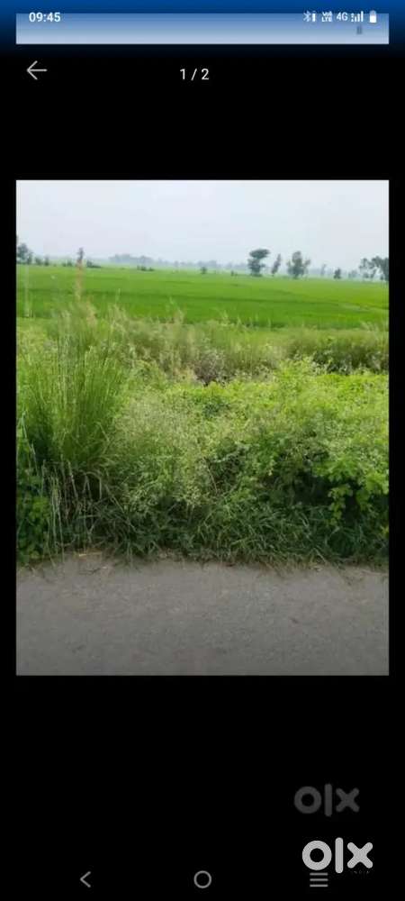 Bechana hai bodrvar shomli me hai