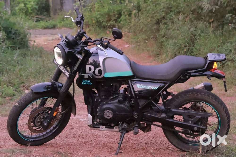 Himalayan scram411 onlywhatsup