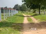 Verified with Old record,20 Guntas agriculture land for sale